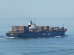 msc federica