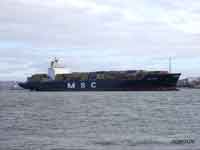 MSC DYMPHNA