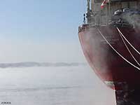 ARCTIC