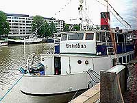 RUDOLFINA