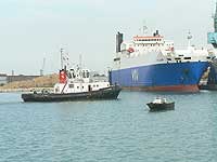 MN EIDER & VB LE HAVRE