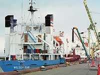 HANSEATIC SCOUT