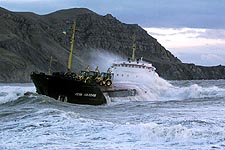 VERA VOLOSHINA
