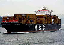 MSC OLGA