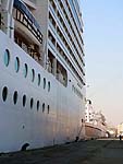 MSC MUSICA