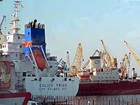 SALICA FRIGO
