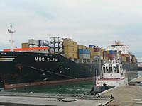 MSC ELENI