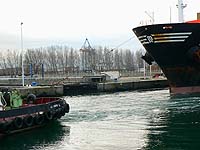 MSC ELENI et ABEILLE HONFLEUR