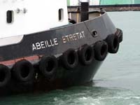 ABEILLE ETRETAT