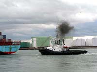 ABEILLE BARFLEUR