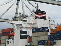 NYK LYRA