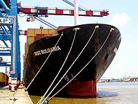 MSC BULGARIA