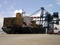 MSC BULGARIA
