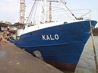 KALO