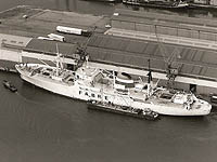TARPON