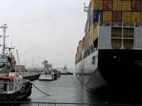 MSC ALESSIA