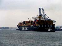 MSC ALESSIA