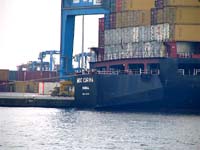 MSC CARINA