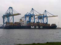 MSC CARINA
