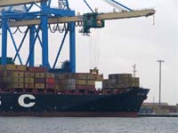 MSC CARINA