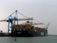 MSC CHICAGO
