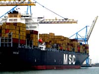 MSC CHICAGO