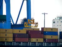 MSC SARAH