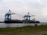 MSC SARAH