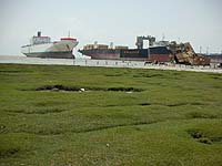 WILMINGTON & RHINE FOREST