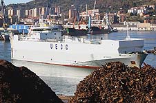 AUTORACER