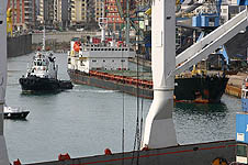 GLADKOV