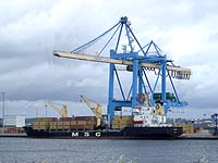 MSC IDIL