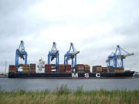 MSC MARA