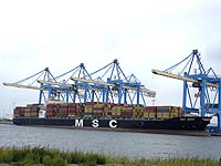 MSC MARA