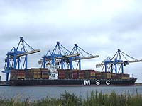 MSC MARA