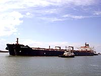 SEASPRITE