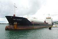 Cap Ferret