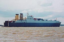BALTIC EIDER