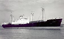 ARMORIQUE