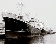 ARMORIQUE
