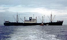 ARMORIQUE